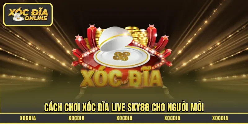 Cách chơi xóc đĩa Live Sky88 cho người mới