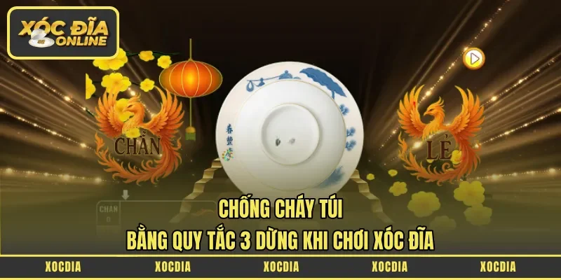 chống cháy túi