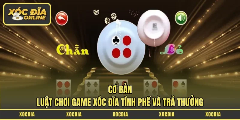 cơ bản