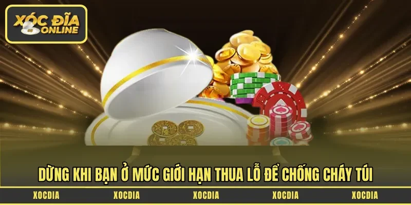 Dừng khi bạn ở mức giới hạn thua lỗ để chống cháy túi