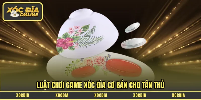 Luật chơi game xóc đĩa cơ bản cho tân thủ