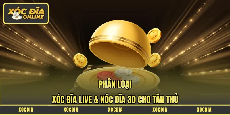 phân loại